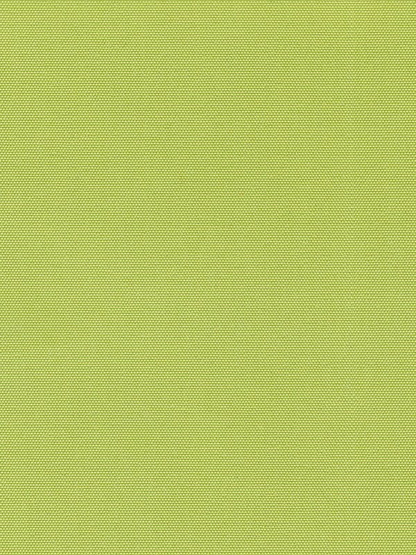 Detailansicht Rollo Springfield VD 27131