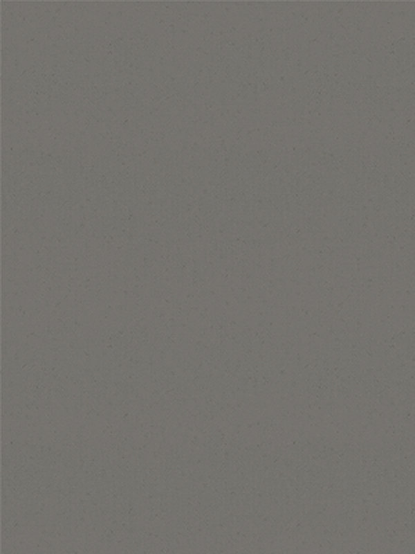 Detailansicht San Carlos VD 54181