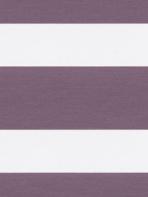 Preview Xinca 6505 4