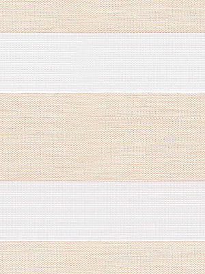 Preview Chorti 6517 4