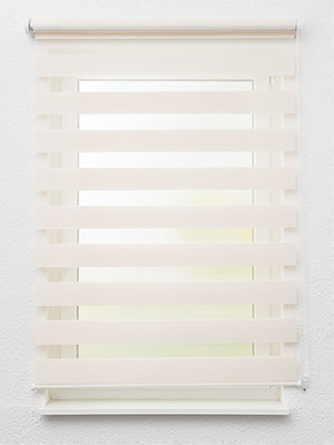 Preview Chorti 6518 1