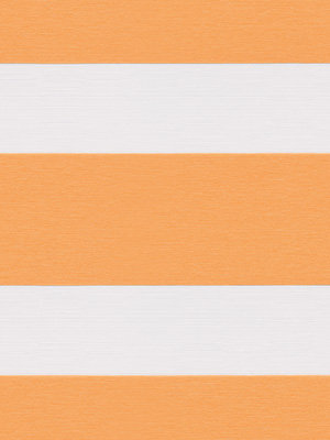 Preview Aguacateco 6531 4