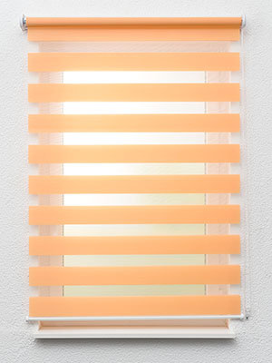 Preview Aguacateco 6531 1