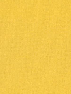 Preview Oviedo 7005 3