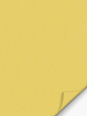 Preview Conesa 7753 3