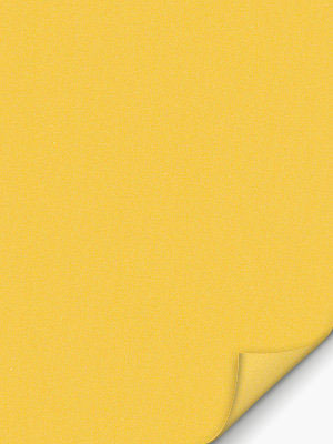 Preview Conesa 4215 2