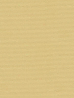 Preview Rollo Merida 72016 5