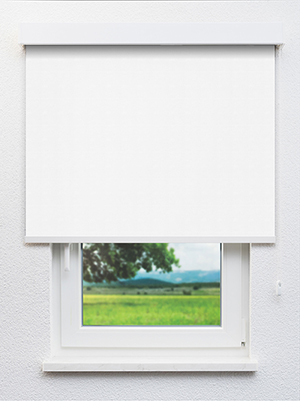 Stoff Rollo Ma&szlig;anfertigung Truttikon 20373