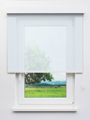 Stoff Rollo Ma&szlig;anfertigung Molinis 20251