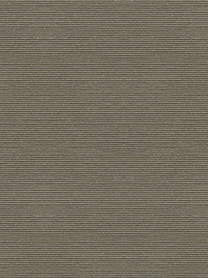 Preview Nyon 20265 3