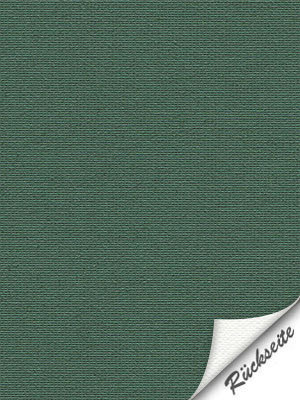 Preview Leysin VD 20129 3