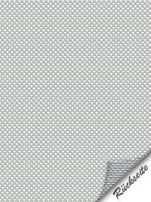 Preview Köniz 20100 3