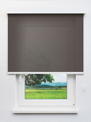 Stoff Rollo Ma&szlig;anfertigung Biglen 20026