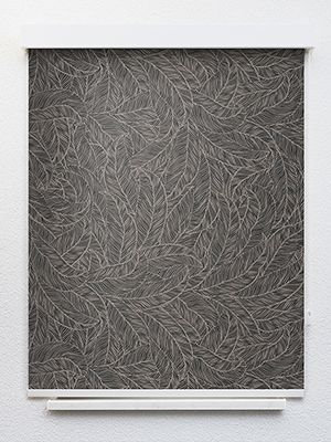 Preview Ollon 20266 1