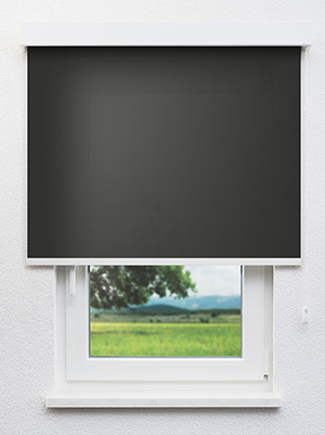 Stoff Rollo Ma&szlig;anfertigung Pura 20278