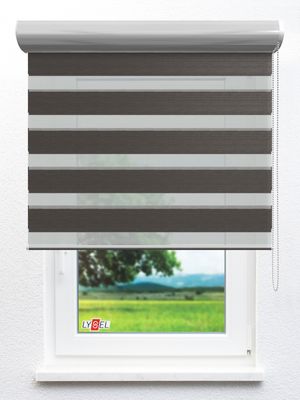 Stoff Rollo Ma&szlig;anfertigung Simply Doppelrollo Görlitz 30424