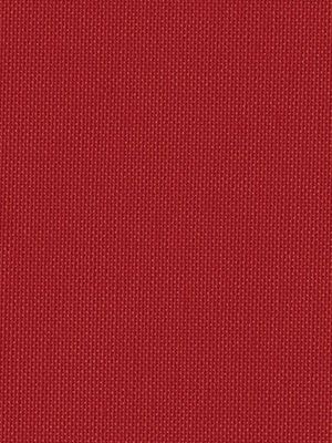 Preview Tenerife 5342 3