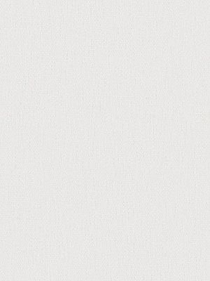 Preview Contramaestre 6406 3