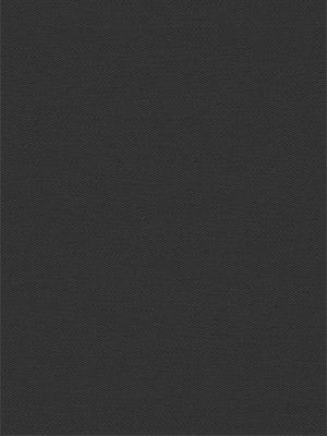 Preview Rollo Springfield 26171 5